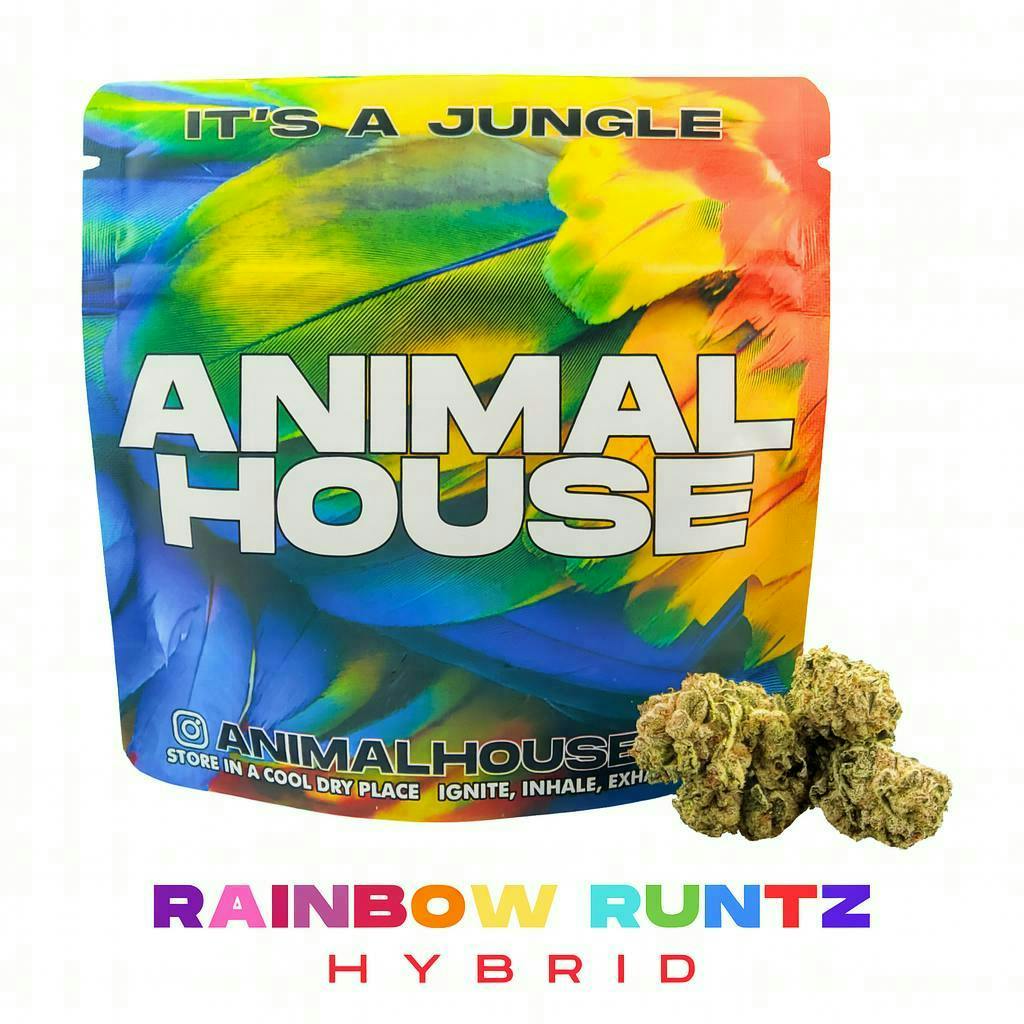 Animal House - Animal House | Rainbow Runtz | Big Buds | 14g - 1
