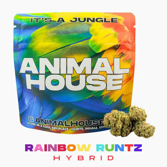Animal House - Animal House | Rainbow Runtz | Big Buds | 14g - 1