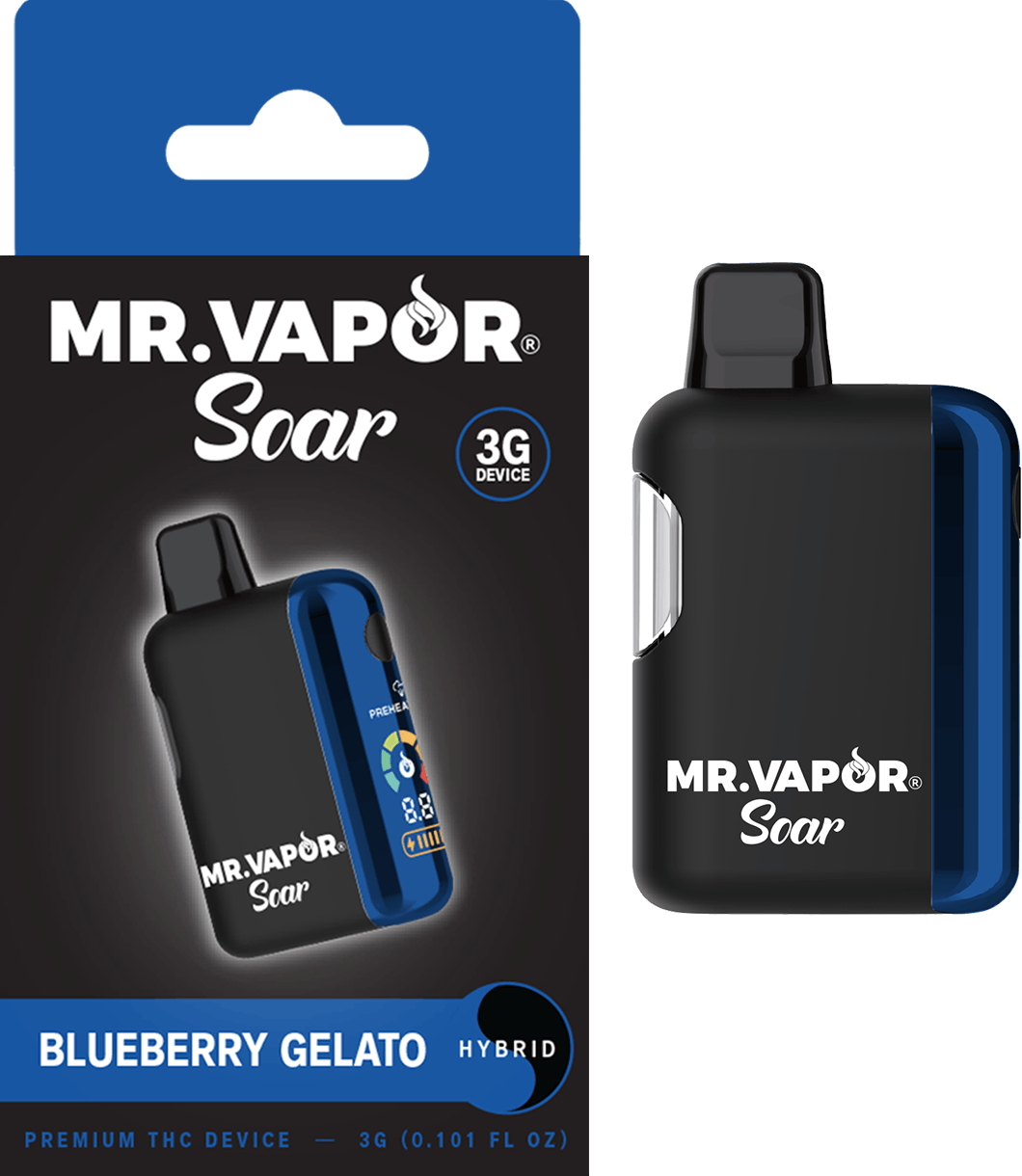 Mr. Vapor Soar - Mr. Vapor Soar - 3g Disposable- Blueberry Gelato - 1