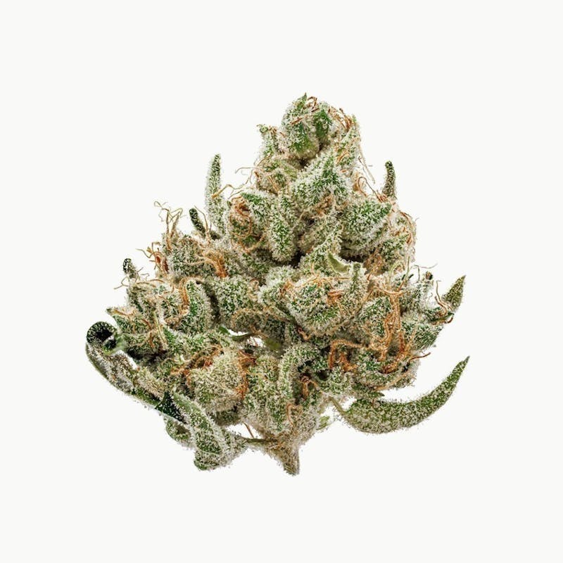 Ooowee - Gelato X Flower 14g - 1