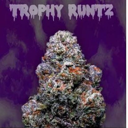 Ooowee - Trophy Runtz Flower 28g - 1