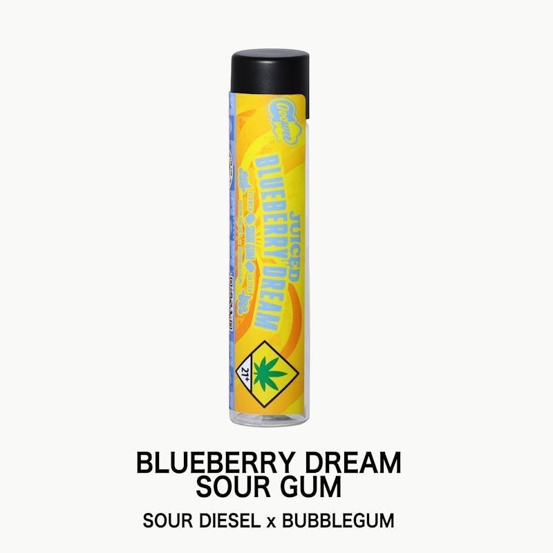 Ooowee - Blueberry Dream Pre Roll 1g - 1