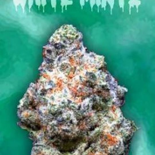 Ooowee - White Mintz Flower 3.5g - 1