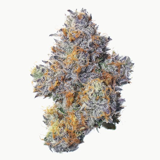 Fig Farms - Zhampû - 1