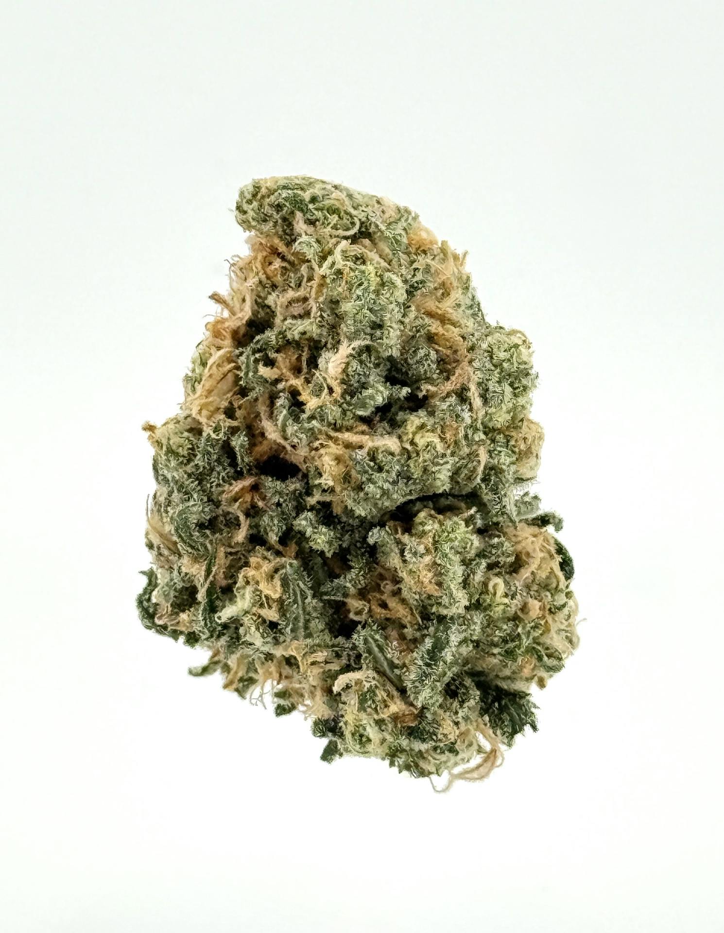 Hey Bud - Hey Bud | Blue Dream Flower 14g - 1