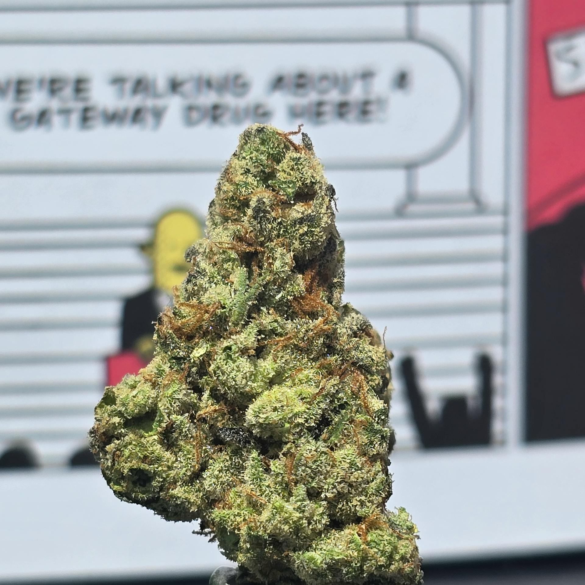 Hey Bud - Hey Bud | Lime Meringue Flower 7g - 1