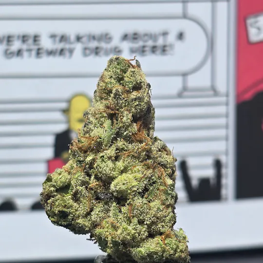 Hey Bud - Hey Bud | Piescream Flower 7g - 1