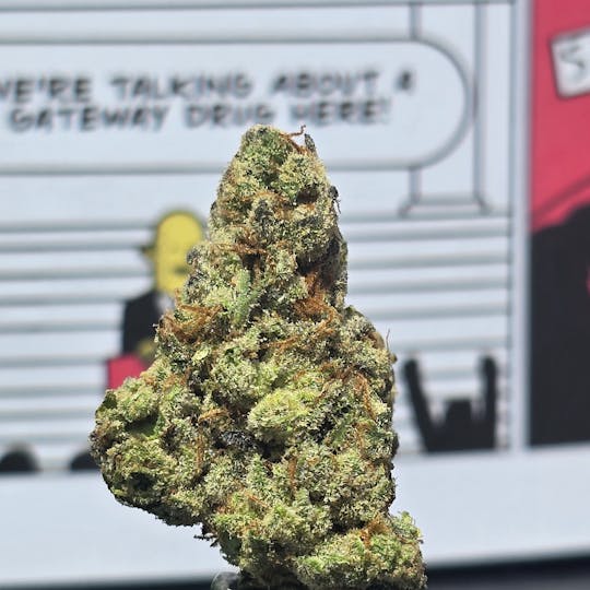 Hey Bud - Hey Bud | Piescream Flower 3.5g - 1