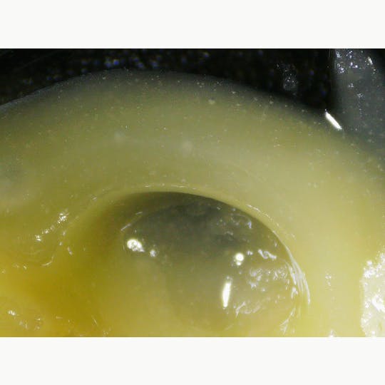 Hey Bud - Hey Bud | Black Maple 9 x PWC 2g Live Rosin - 1