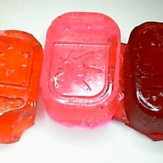 Seed of Life Labs - Seed of Life Labs - Watermelon Hard Candy 100mg 5pk - 1