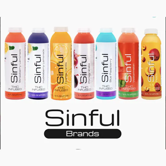 Seed of Life Labs - Seed of Life Labs - Orange Vanilla Sinful Drink - 1