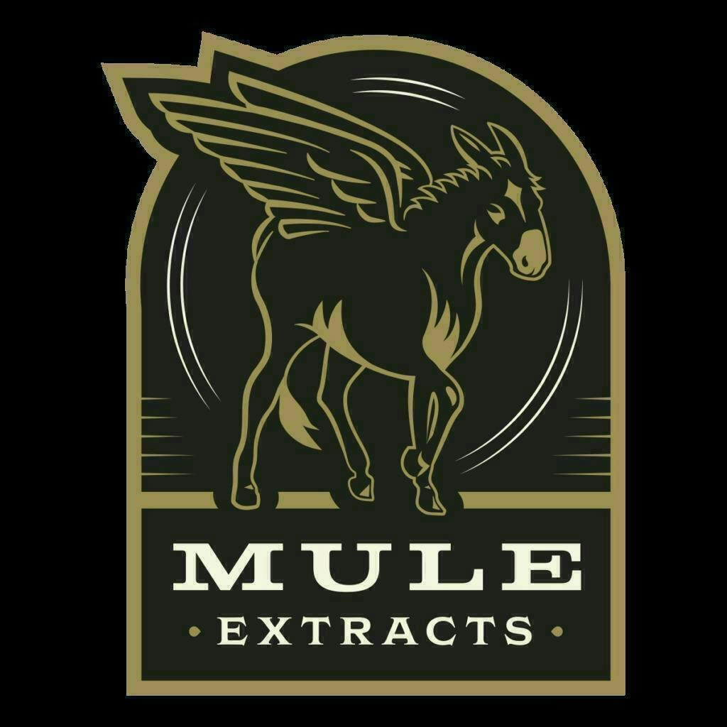 Mule Extracts - Mule Extracts | Biscotti Cream Pie x First Light | Infused Joint | 1.25g - 1