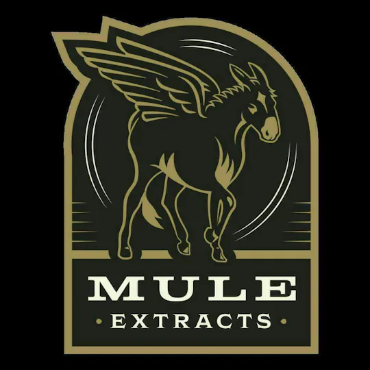 Mule Extracts - Mule Extracts | Biscotti Cream Pie x First Light | Infused Joint | 1.25g - 1