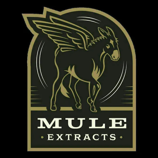 Mule Extracts - Biscotti Cream Pie x First Light | Infused Joint | 1.25g - 1