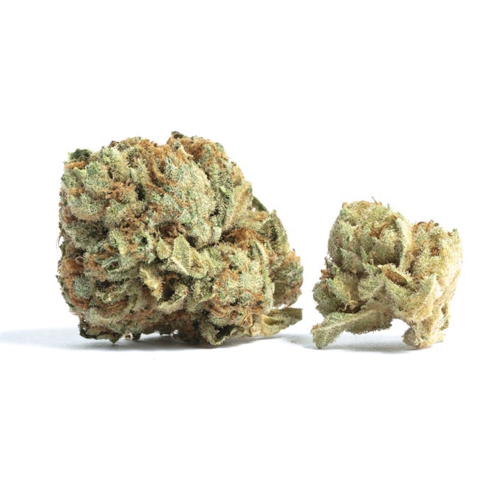 Otis Gardens - Twisted Berry – Flower – 1g - 1