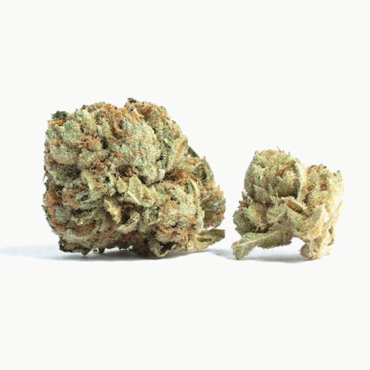 Otis Gardens - Twisted Berry – Flower – 1g - 1