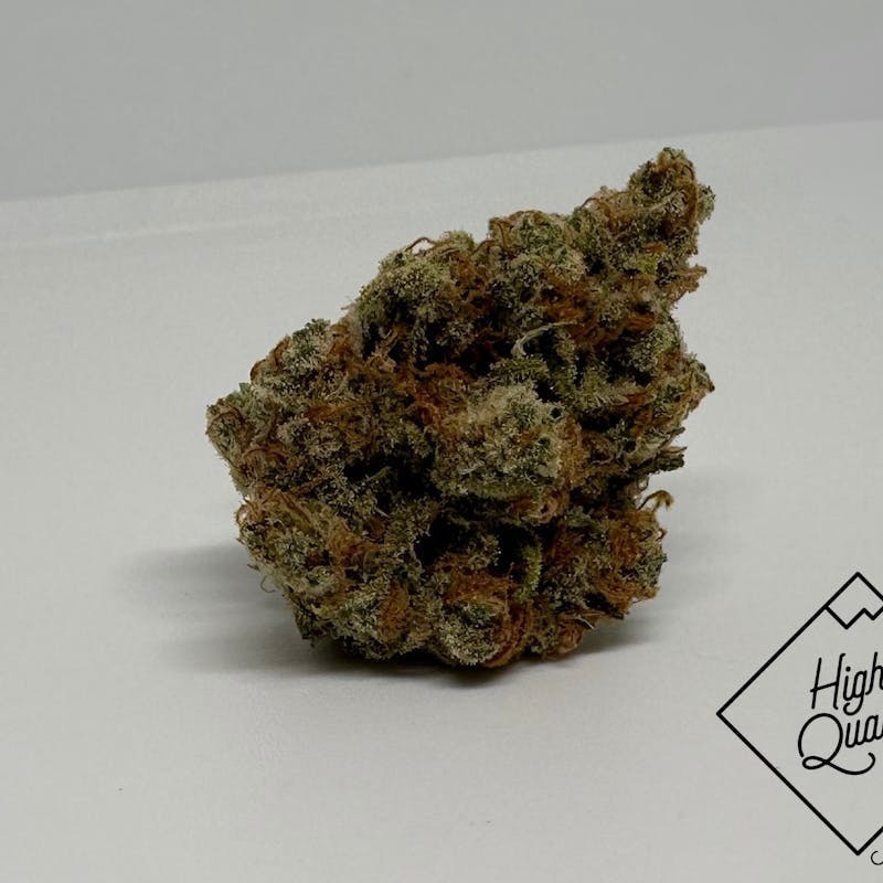 Focus North - Colorado Sunshine – 7g - 1