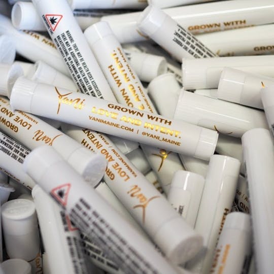 Yani - Breath Winner 1g Pre Roll - 1