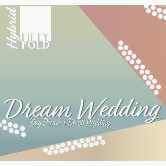 Fifty Fold - Fifty Fold - Dream Wedding Snickerdoobie Infused Pre-Roll 0.75g - 1