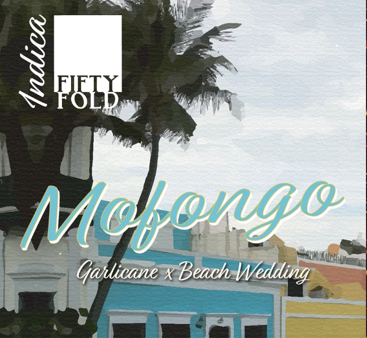 Fifty Fold - Fifty Fold - Mofongo Infused Pre-Roll 0.75g - 1