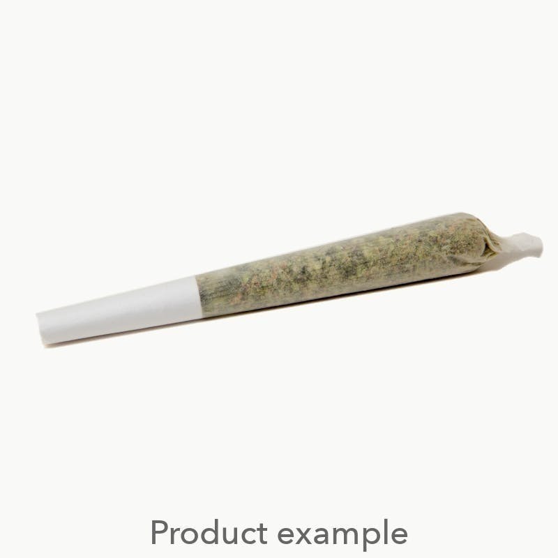 605 Cannabis - 605 Cannabis | Jack Herer | Joint | 1g - 1