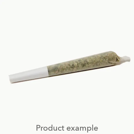 605 Cannabis - 605 Cannabis | Jack Herer | Joint | 1g - 1
