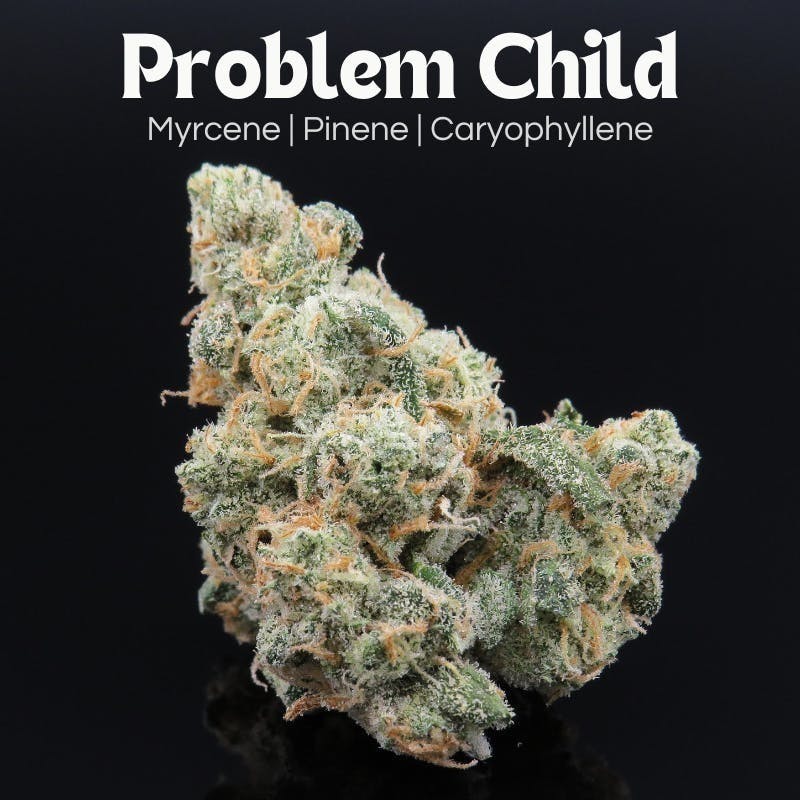 Farkas Farms - Problem Child – 3.5g - 1