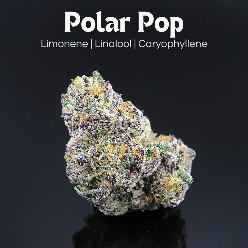 Farkas Farms - Polar Pop – 14g - 1
