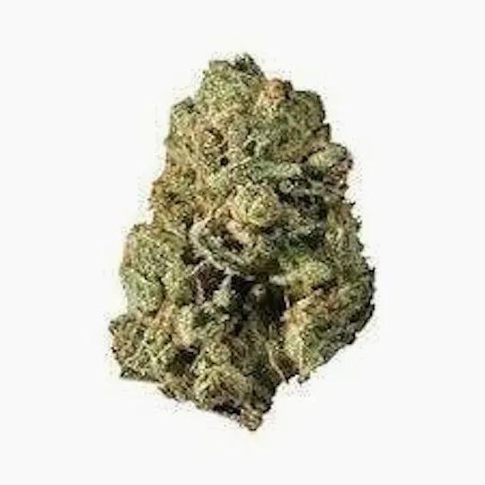 Cannafeen - Cannafeen | Mystic Glue | Big Buds - 1