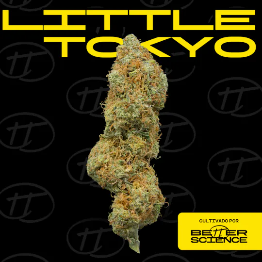 Better Science - BSC - Little Tokyo 1 - Flor - 1