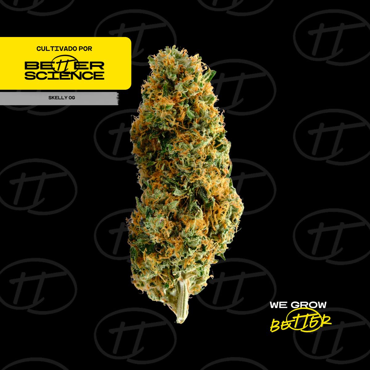 Better Science - BSC - Skelly OG - Flor - 1