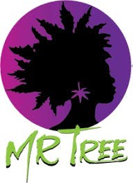 Mr Tree - Super Lemon Haze - 3.5g Flower - 1