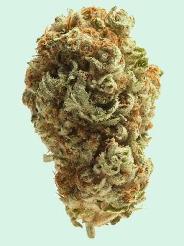 Ketchikan Cannabis - Ketchikan Cannabis - Space Runtz Flower 14g - 1
