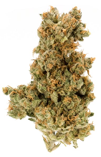 Ketchikan Cannabis - Ketchikan Cannabis - PFD Bud Flower 3.5g - 1