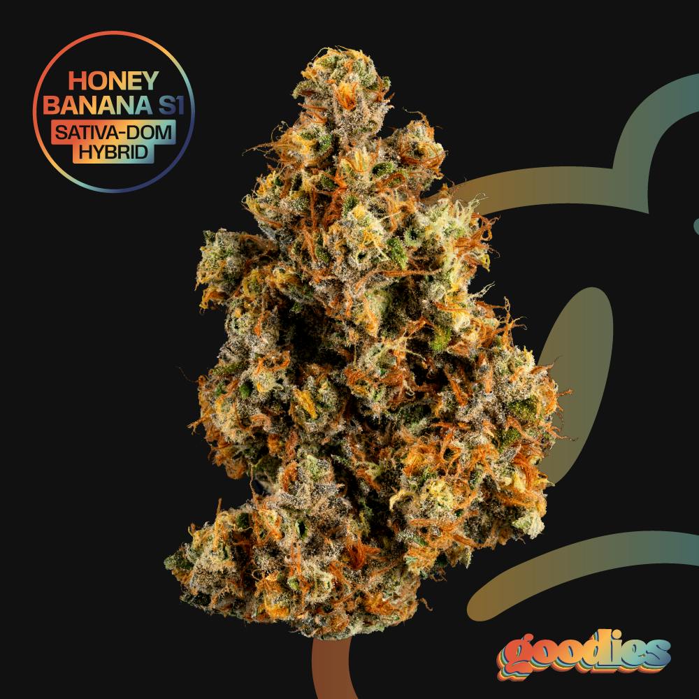 Goodies - Honey Banana S1 | 7g Whole Flower - 1
