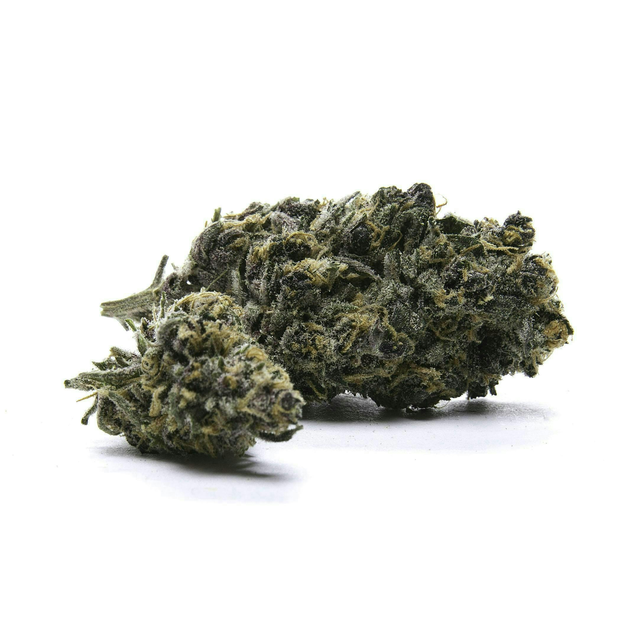 Aeterna - Aeterna | Gelato 33 | Big Buds | 14g - 1