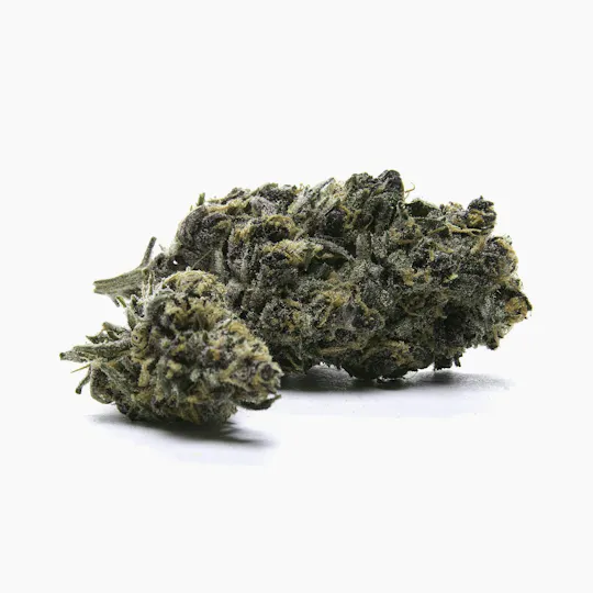 Aeterna - Aeterna | Gelato 33 | Big Buds | 14g - 1