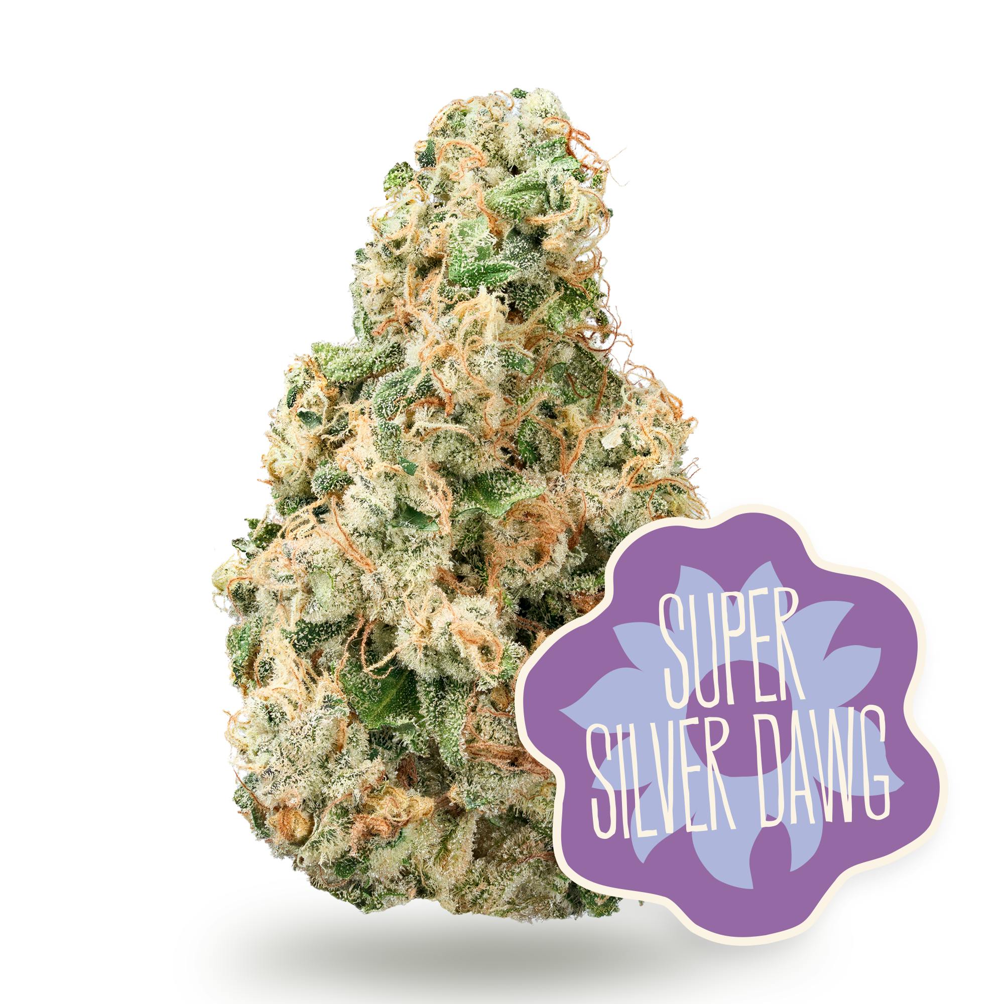 District Cannabis - Super Silver Dawg Flower - 1