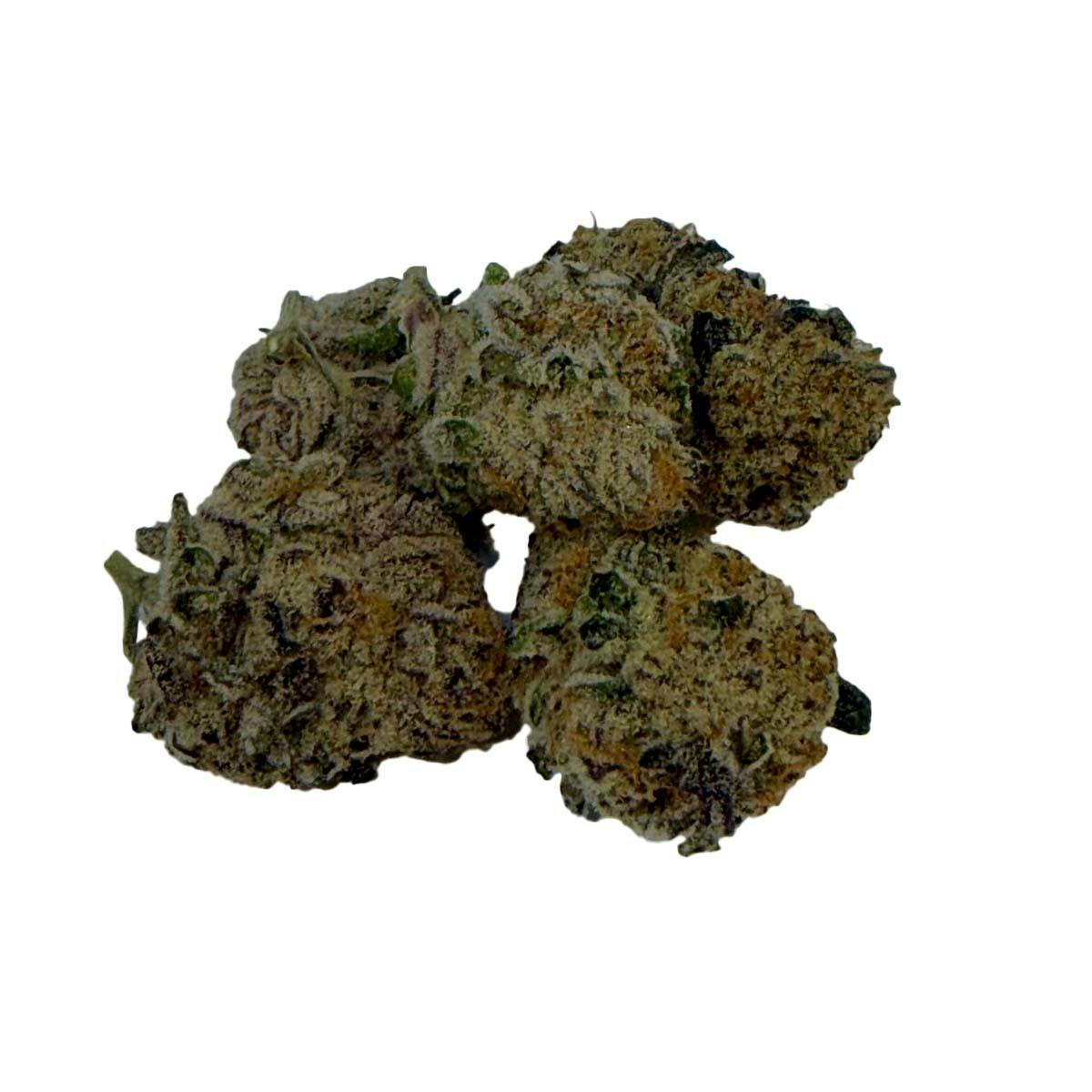 Freedom Road - Alien Runtz - 1