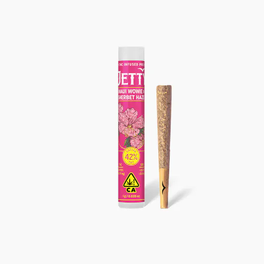 Jetty Extracts - Maui Wowie x Sherbet Haze | Infused Joint | 1g - 1