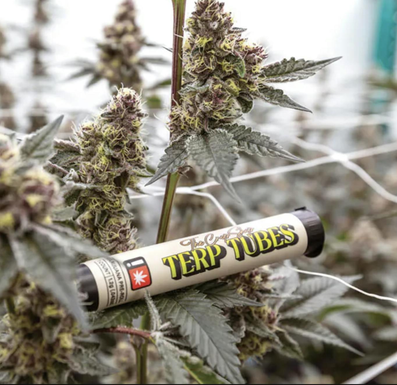 The Crop Shop - Runtz | The Crop Shop | Preroll | 1G - 1