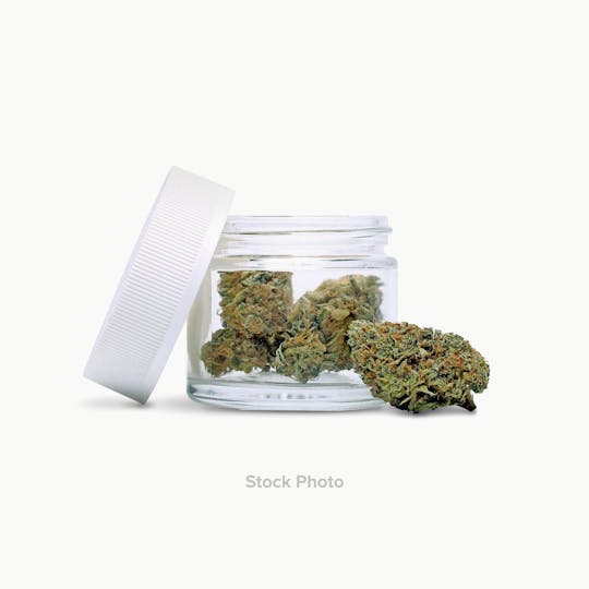 1889 Farms - Felony Melanie – Flower – 7g - 1