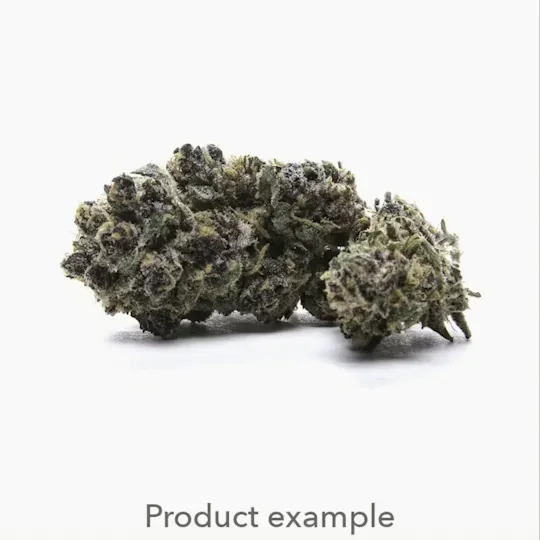 Trichome Farms - Fiji Sunset | Trichome Farms | Flower | 7G - 1