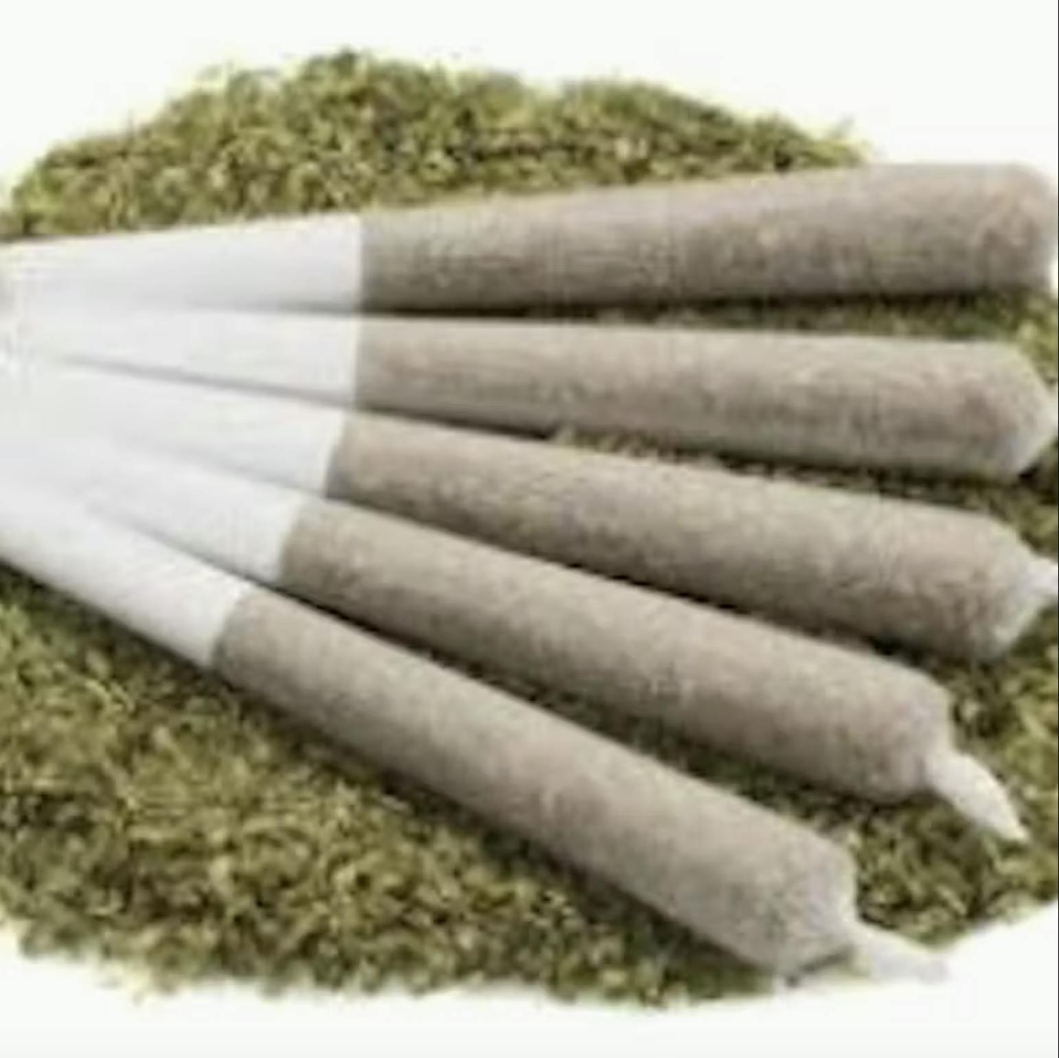 Trichome Farms - Montana Zkittles 6pk | Trichome Farms | Preroll | 0.5G - 1