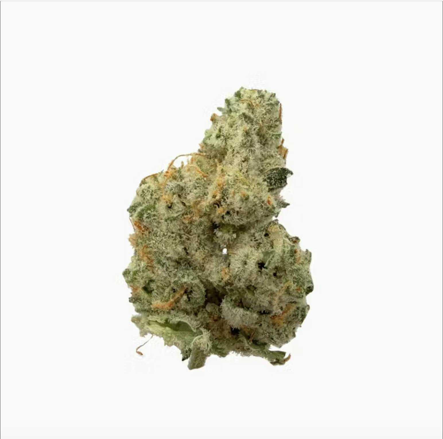 Trichome Farms - Cap Junky | Trichome Farms | Flower | 1G - 1
