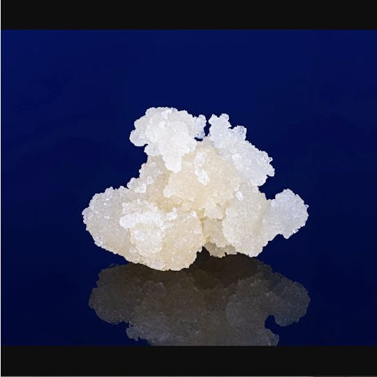 Trichome Farms - Terminator Ted | Trichome Farms | Concentrate | 2G - 1