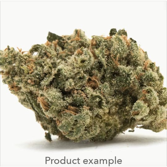 Trichome Farms - Halle Berry | Trichome Farms | Flower | 14G - 1