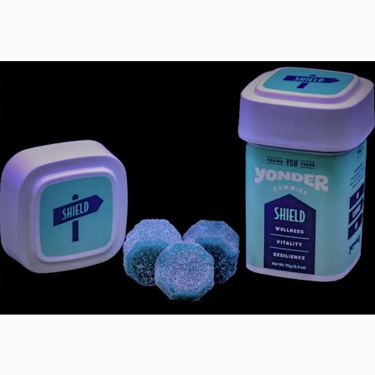 Yonder - Yonder | Blueberry | 300mg SHIELD Gummies 10pk - 1