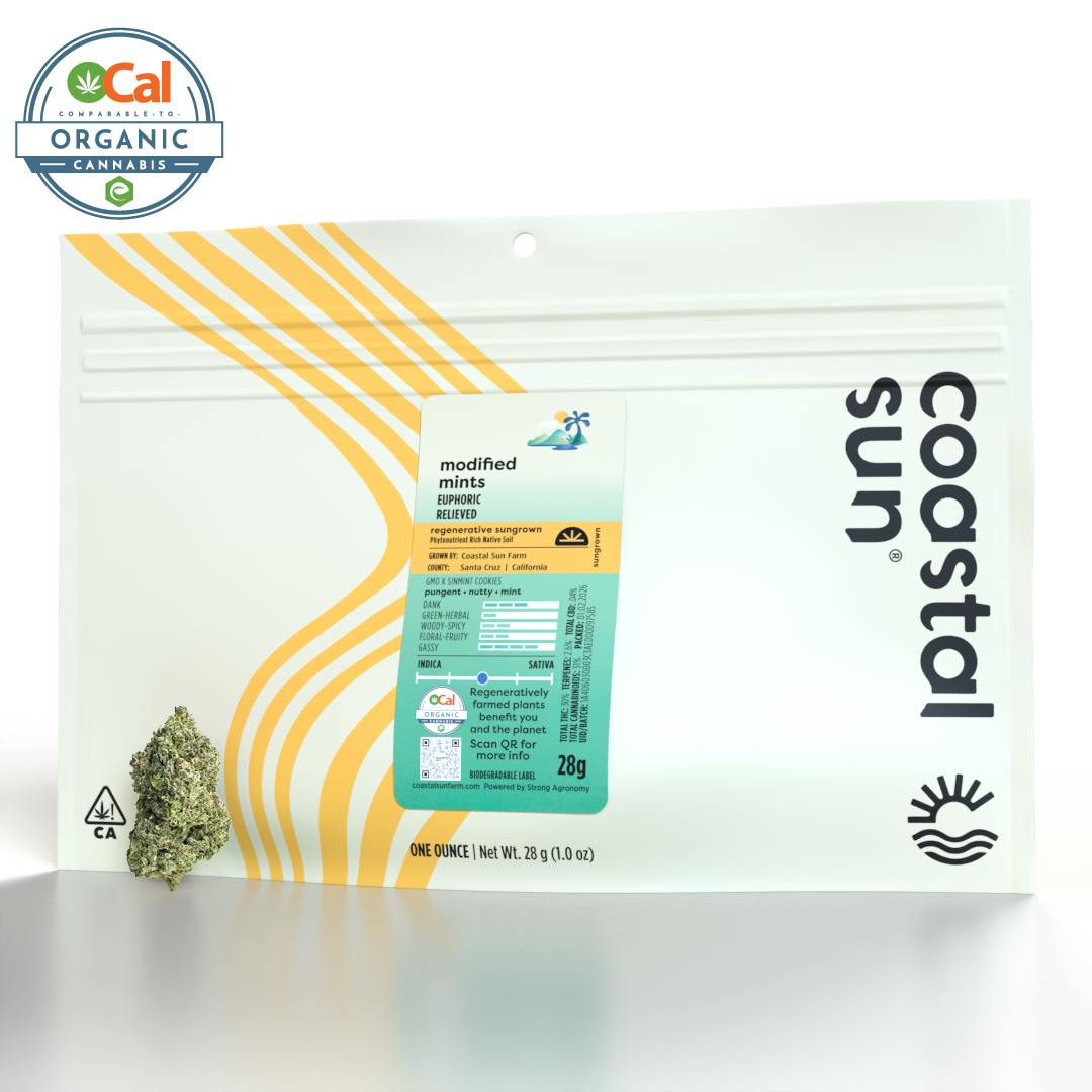 Coastal Sun - Modified Mints Sungrown Flower 28g - 1