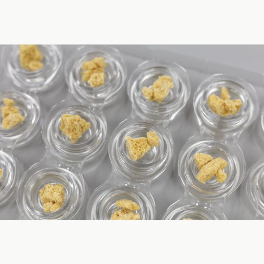 Divine Extracts - Divine Extracts | Cereal Milk | Cured Crumble | 1G - 1